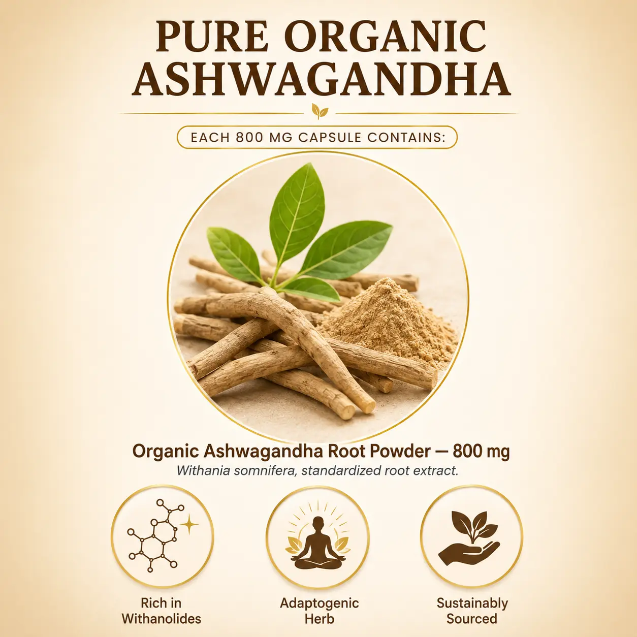 Ashwagandha Capsule Ingredients