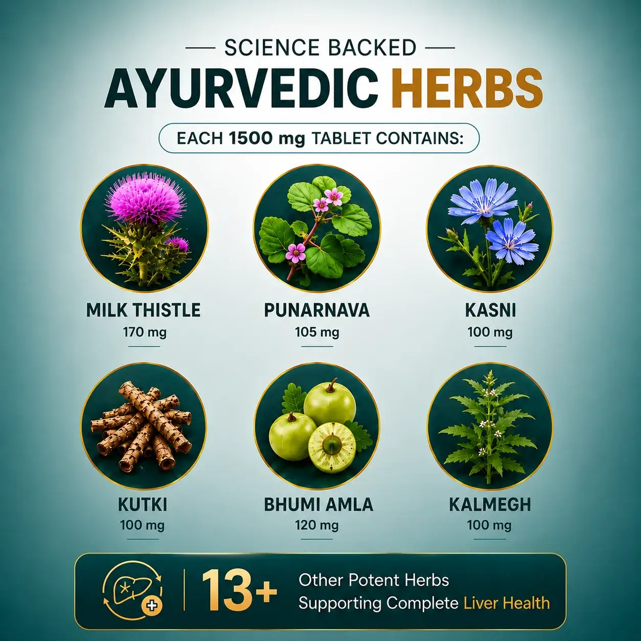 Liver Care Tablet Ingredients