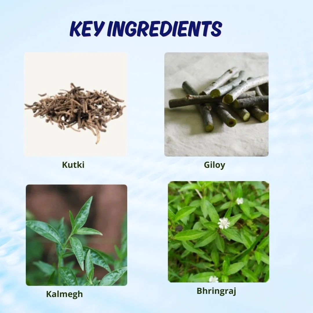 Liver Care Syrup Ingredients