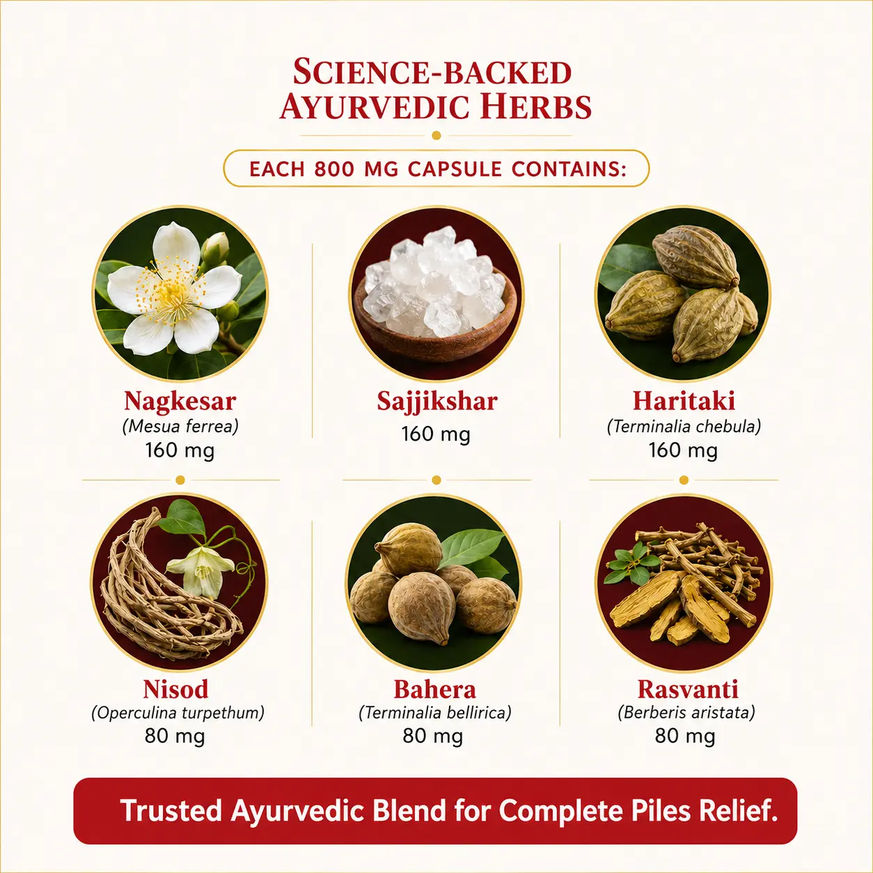 Piles Care Capsule Ingredients