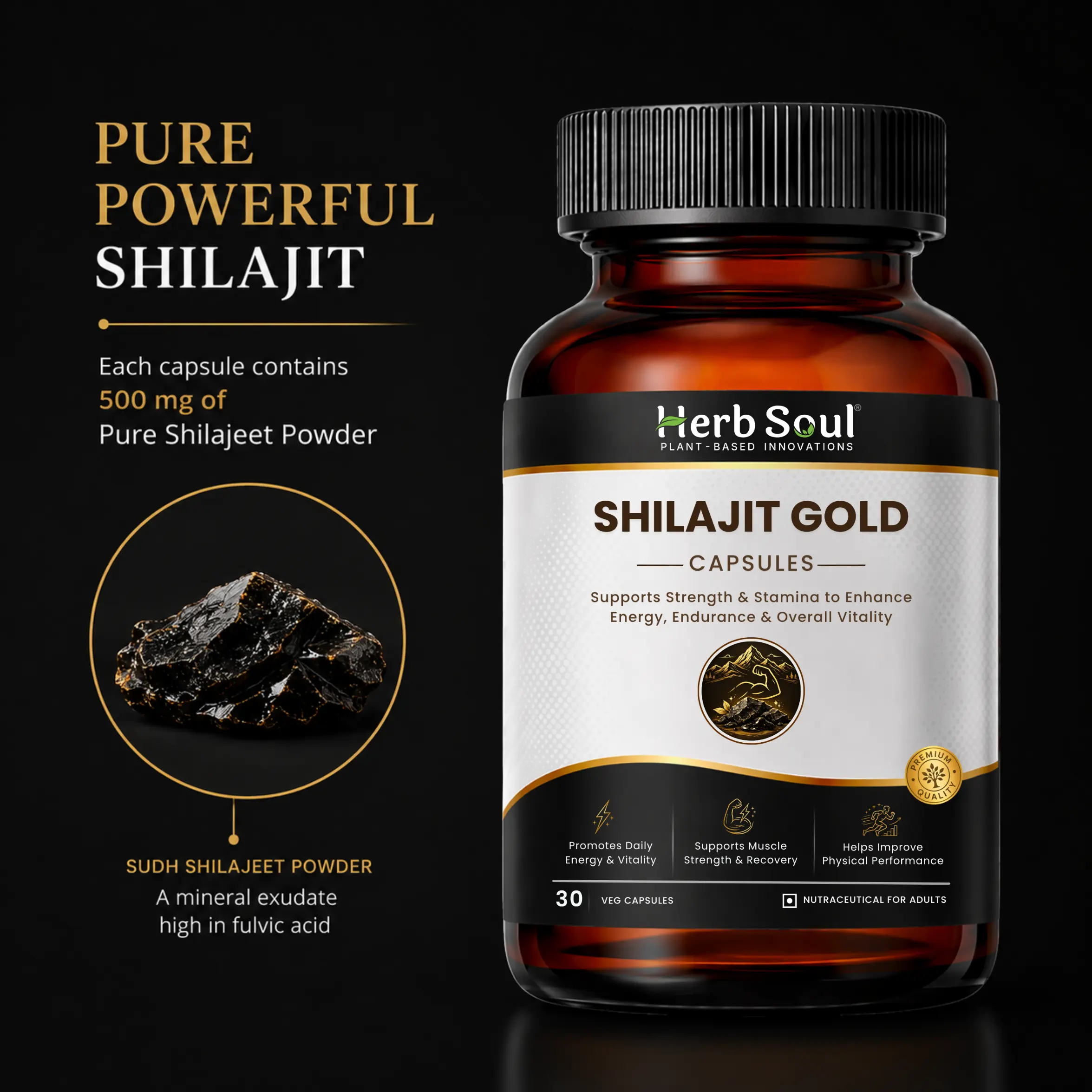 Shilajit Gold Capsule Ingredients